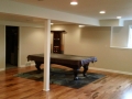 Basement Remodel